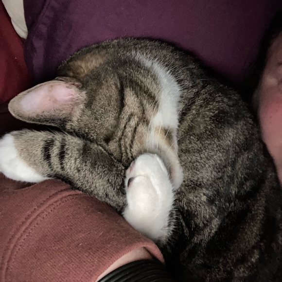 Meet your Posher, Christine - Picture 11 of 16